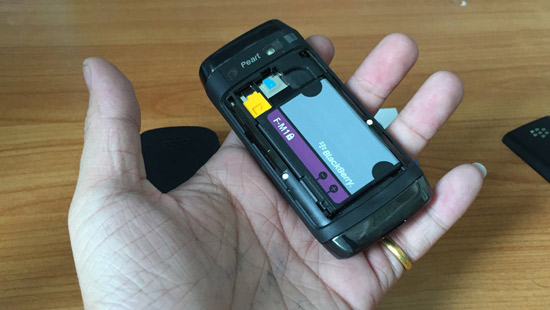 Blackberry-9100,-9105-pin
