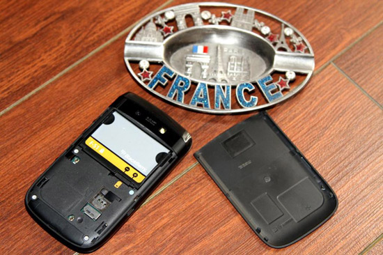 Blackberry-9800-(Torch)-pin