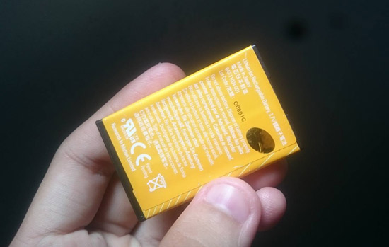 pin-blackberry-8100-8120-8110-full-1