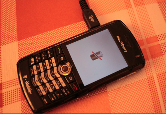 pin-blackberry-8100-8120-8110-full-2