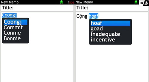 suretype-cho-blackberry-pearl-1