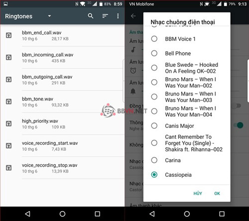 cai-nhac-chuong-tuy-chinh-3