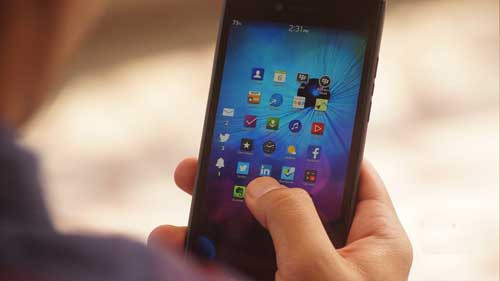 black-berry-leap-cu-2