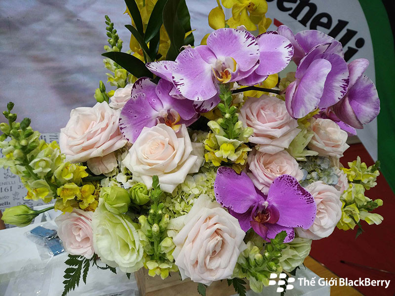 Camera blackberry keyone cho ra màu ảnh rất nịnh mắt