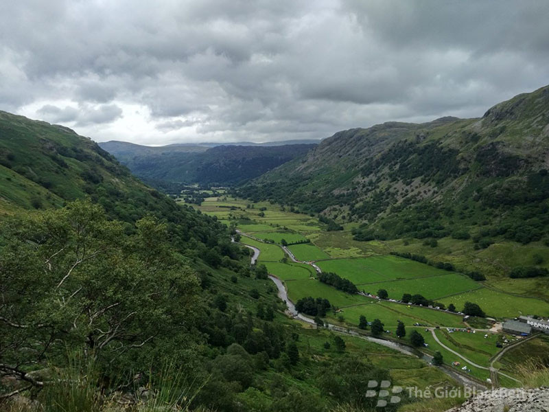 Ảnh được chụp bằng blackberry DTEK50