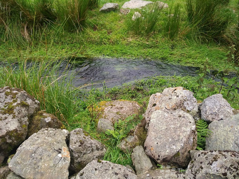 Màu ảnh trên blackberry dtek50 rất bắt mắt