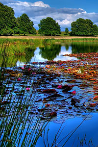 Hình nền blackberry keyone 14