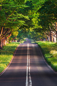 Hình nền blackberry keyone 15