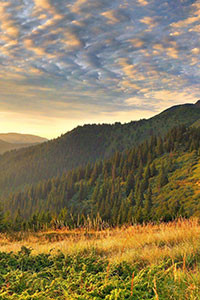 Hình nền blackberry keyone 16