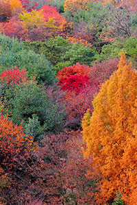 Hình nền blackberry keyone 20