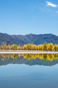 Hình nền blackberry keyone 2