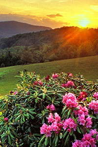 Hình nền blackberry keyone