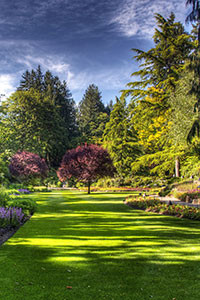 Hình nền blackberry keyone