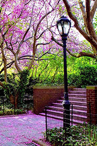 Hình nền blackberry keyone