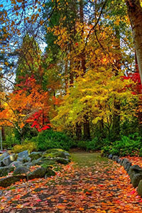 Hình nền blackberry keyone