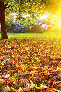 Hình nền blackberry keyone