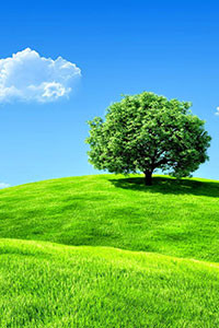 Hình nền blackberry keyone 4