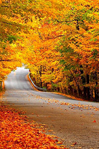 Hình nền blackberry keyone