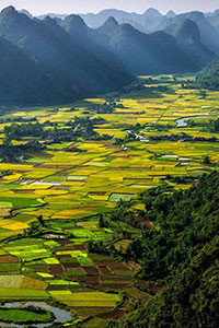 Hình nền blackberry keyone