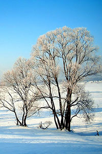 Hình nền blackberry keyone