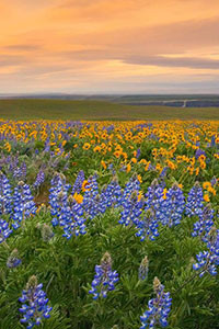 Hình nền blackberry keyone