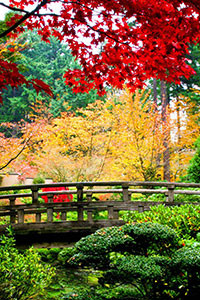 Hình nền blackberry keyone 6