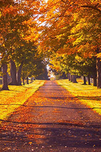 Hình nền blackberry keyone