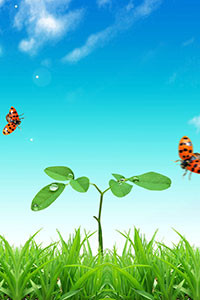 Hình nền blackberry keyone 7