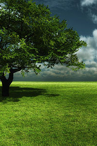 Hình nền blackberry keyone